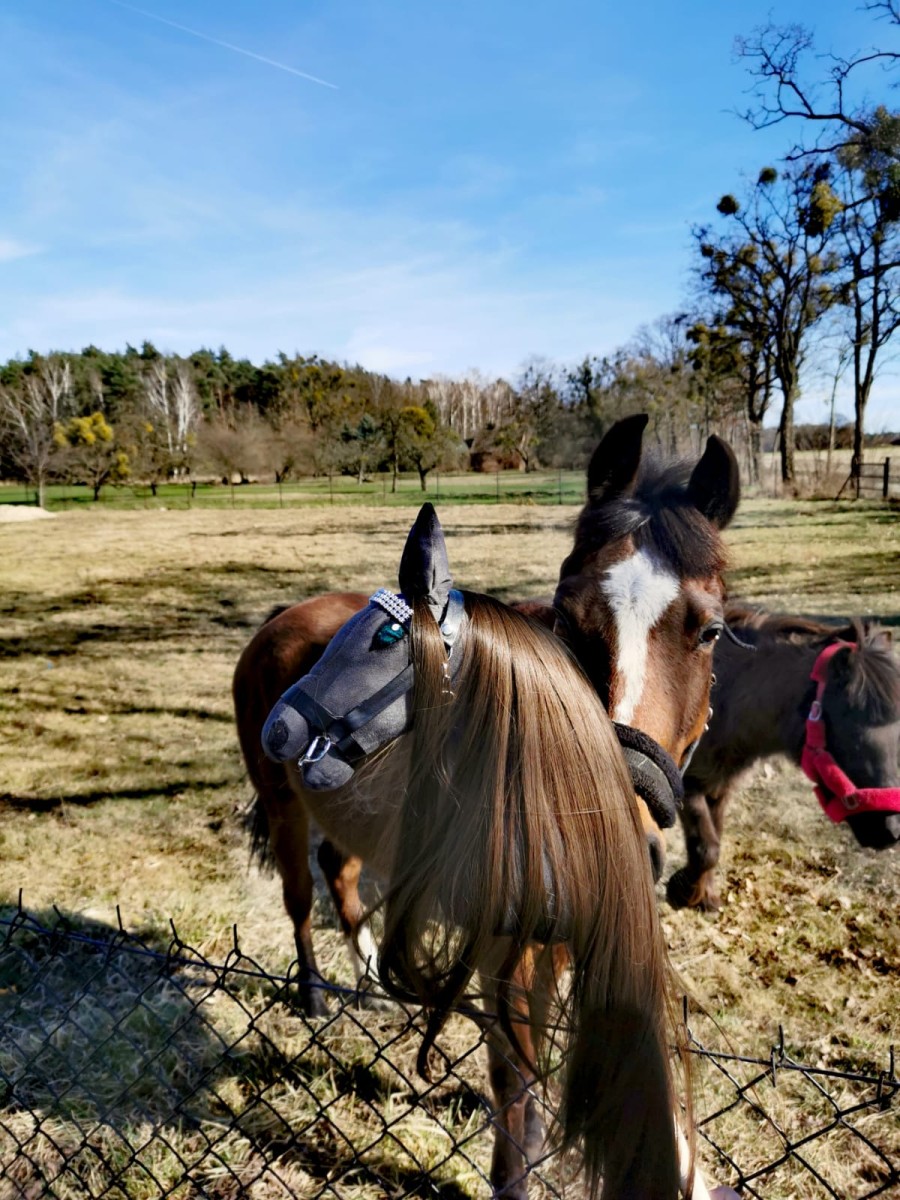 WhatsApp Image 2022-03-28 at 19.25.12 (1) - Copy - Copy (2).jpeg