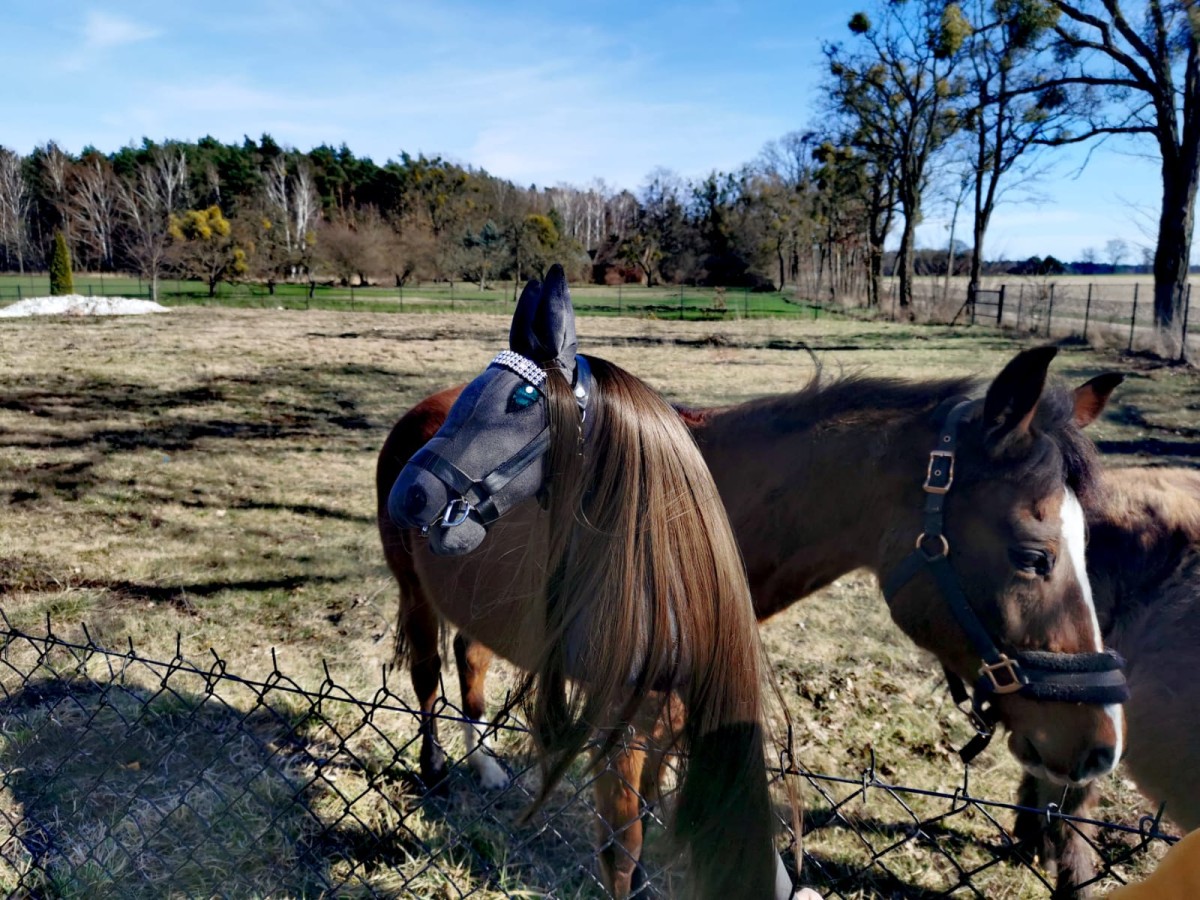 WhatsApp Image 2022-03-28 at 19.25.12.jpeg