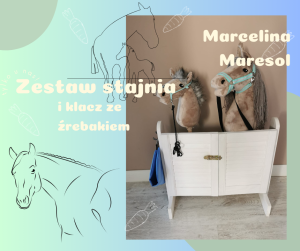Klacz ze źrebakiem i stajnia - Marcelina i Maresol 