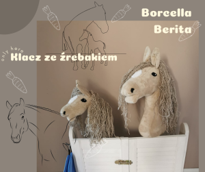 Klacz ze źrebakiem - Borcella i Berita 