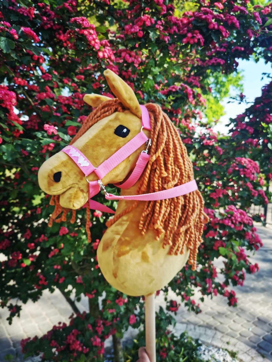 627df207-6d70-4813-9676-f1c514ca0ff5.jpeg