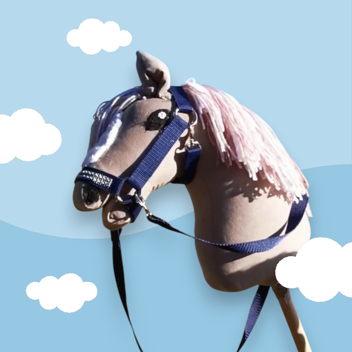 Photoroom-20241109_143032 (1).png