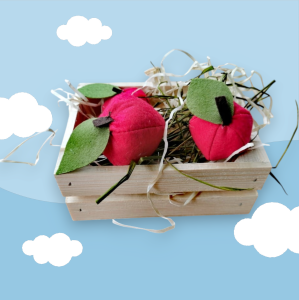 Skrzyneczka jedzenia dla Hobby Horse Jabłka 