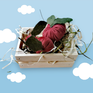 Skrzyneczka jedzenia dla Hobby Horse  Buraczki 