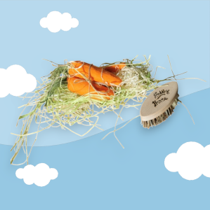 ZESTAW paczuszka jedzenia i szczotka dla Hobby Horse 