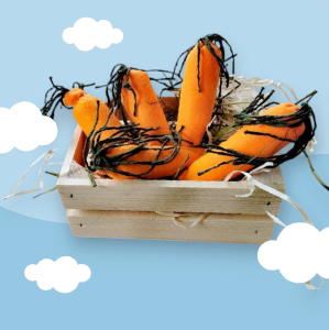 Skrzyneczka jedzenia dla Hobby Horse 