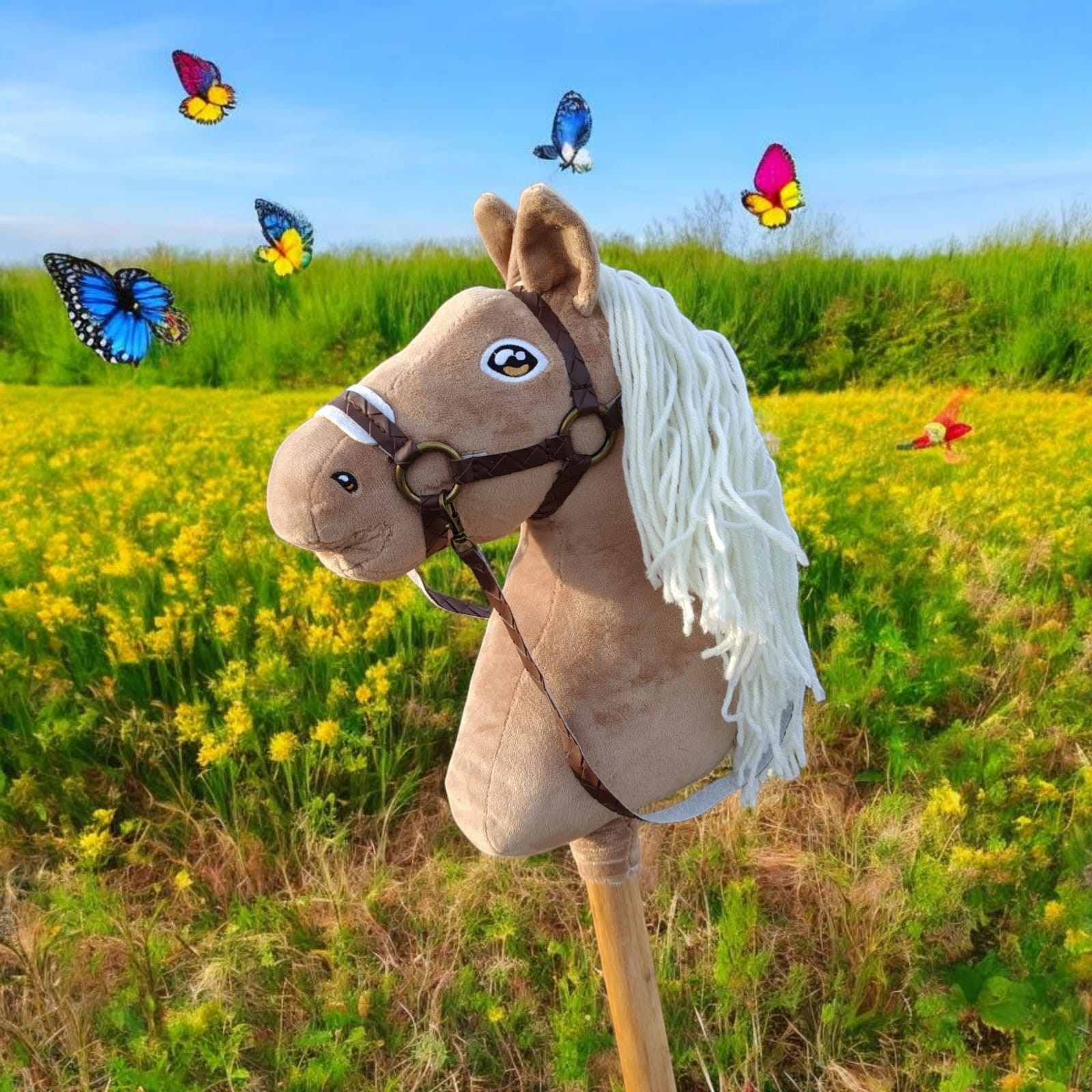 Zdjęcie WhatsApp 2025-03-09 o 16.19.58_ac586154.jpg