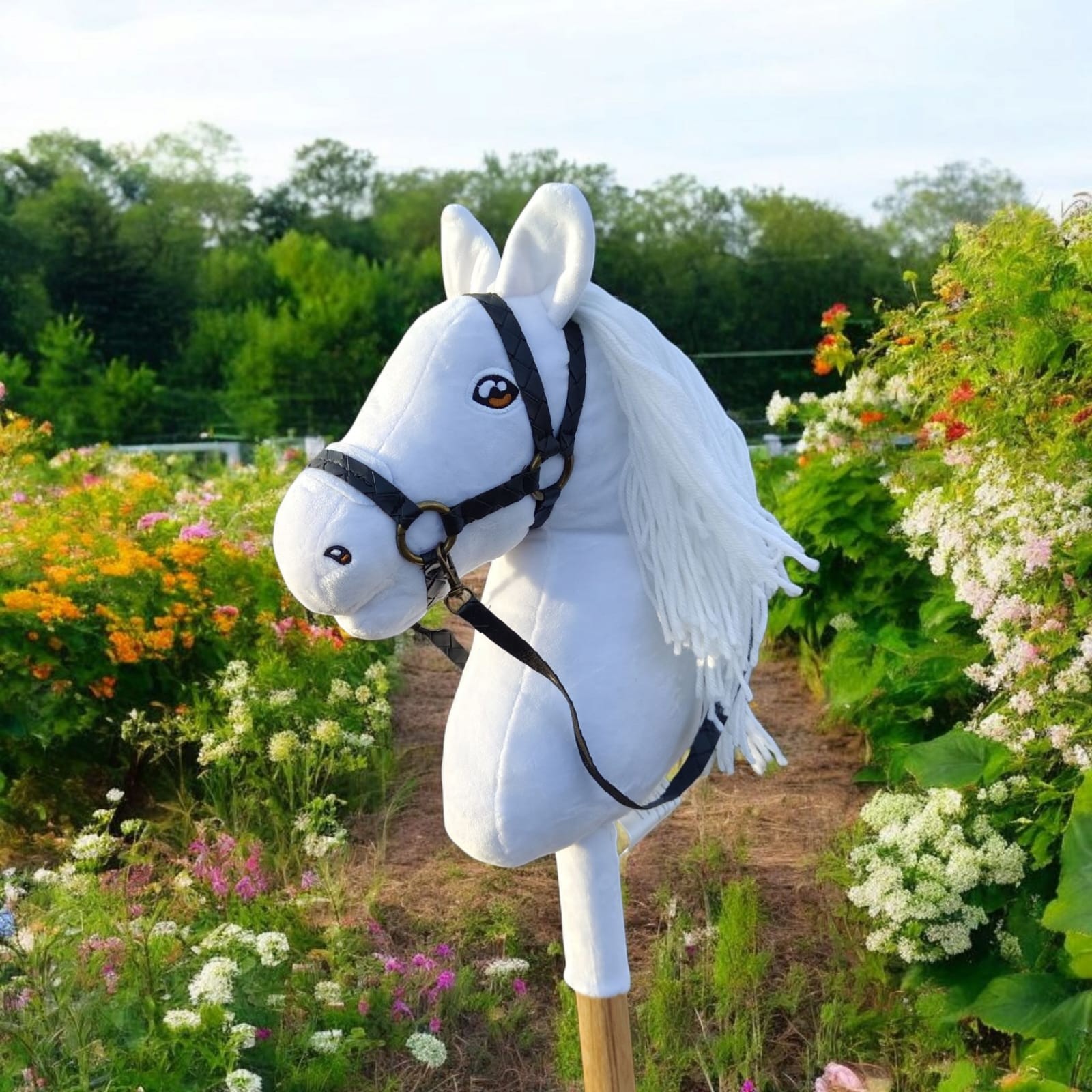 Zdjęcie WhatsApp 2025-03-09 o 16.15.28_f222d76b.jpg