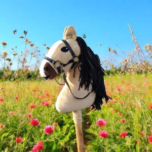 Konik na kijku Hobby Horse - BUDYŃ 