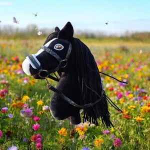 Konik na kijku Hobby Horse - JAGODA 