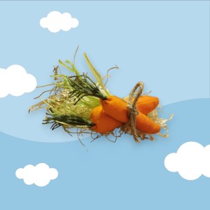 Marchewki z siankiem dla Hobby Horse 