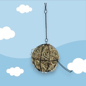 Paśnik dla Hobby Horse 