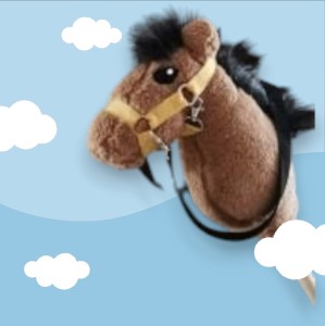 Wodze dla Hobby Horse 