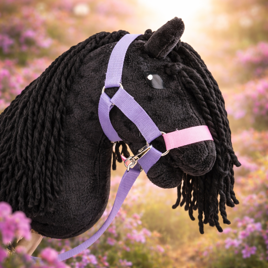 black beauty.png