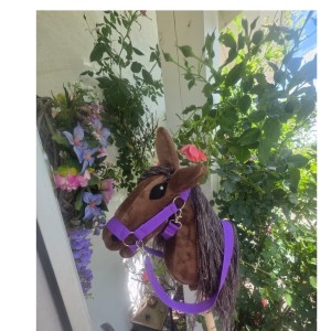 Konik na kijku Hobby Horse - LOSSY 
